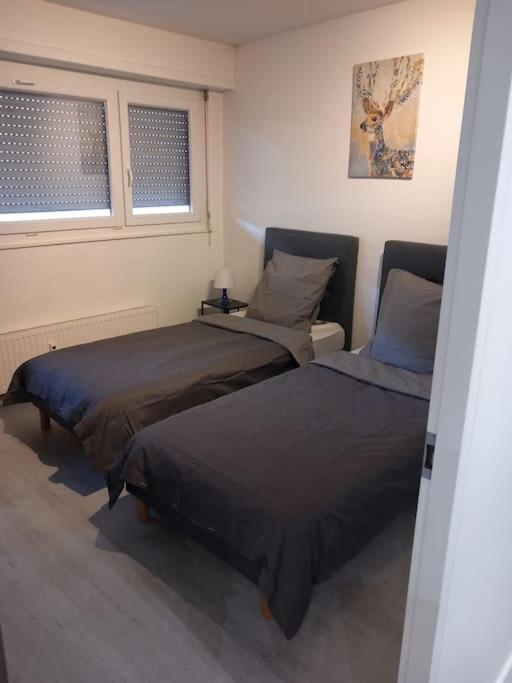 Super Appart Strasbourg 6 Pers Centre-Ville Ideal מראה חיצוני תמונה
